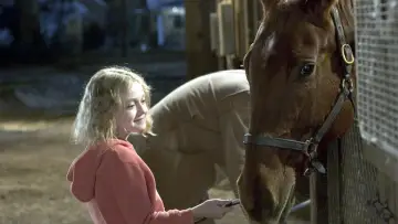 Zasłona do filmu "Wyścig marzeń" #247663
