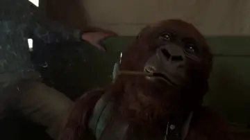 Zasłona do filmu "Kongo" #701579