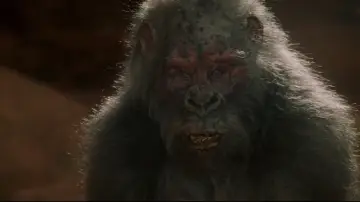 Zasłona do filmu "Kongo" #856748