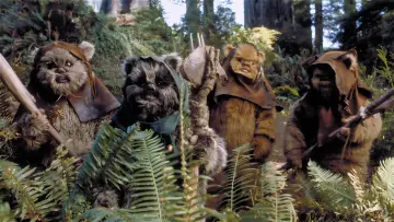 Zasłona do filmu "Gwiezdne wojny: Ewoki - Bitwa o Endor" #350923