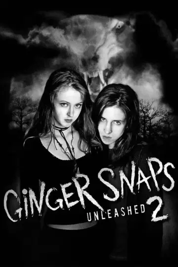 Zdjęcia Ginger II