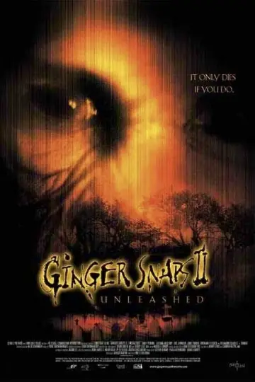 Plakat do filmu "Zdjęcia Ginger II" #445863