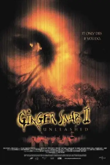 Plakat do filmu "Zdjęcia Ginger II" #980151