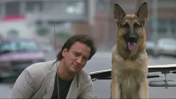 Zasłona do filmu "K-9" #301619