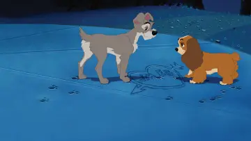 Zasłona do filmu "Zakochany kundel" #238938