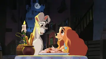 Zasłona do filmu "Zakochany kundel" #629683