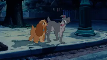 Zasłona do filmu "Zakochany kundel" #629695