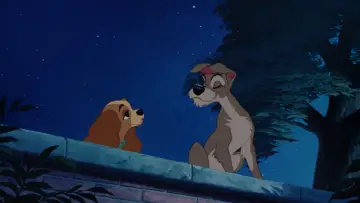 Zasłona do filmu "Zakochany kundel" #629698
