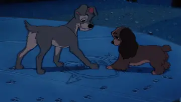 Zasłona do filmu "Zakochany kundel" #629705