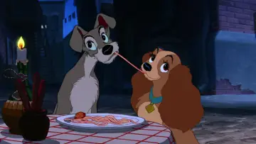 Zasłona do filmu "Zakochany kundel" #807749