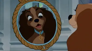 Zasłona do filmu "Zakochany kundel" #848375