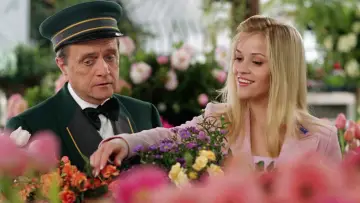 Zasłona do filmu "Legalna blondynka 2" #673060