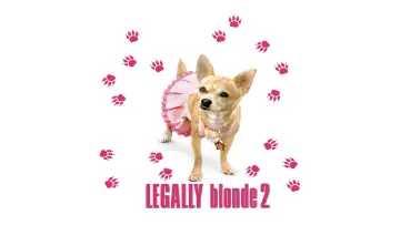 Zasłona do filmu "Legalna blondynka 2" #673100
