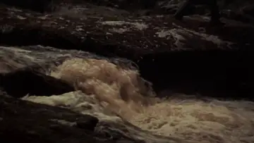 Zasłona do filmu "Moby Dick" #725720