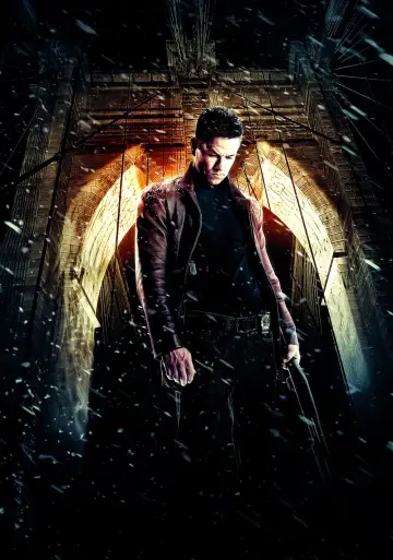 Plakat do filmu "Max Payne" #338054