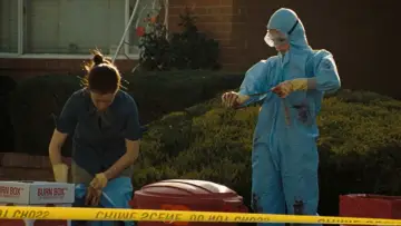 Zasłona do filmu "I wszystko lśni" #610160