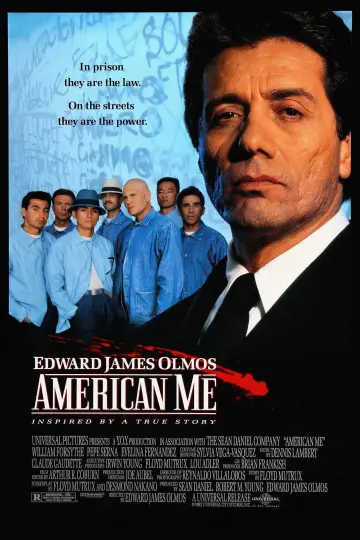 Plakat do filmu "Moja Ameryka" #1648861