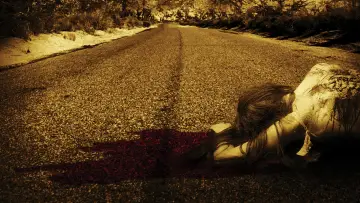 Zasłona do filmu "Droga bez powrotu 2" #488575