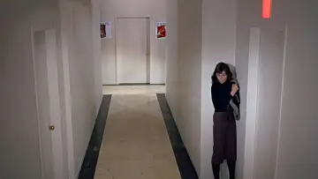Zasłona do filmu "Zabawna buzia" #992814