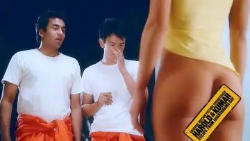 Zasłona do filmu "Harold i Kumar uciekają z Guantanamo" #87654