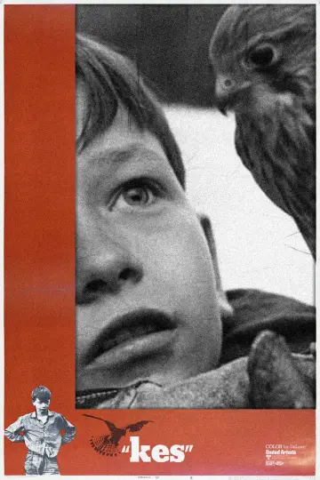 Plakat do filmu "Kes" #1165546
