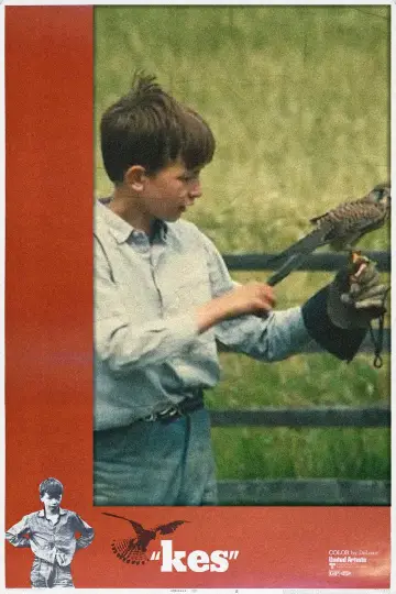 Plakat do filmu "Kes" #1165547