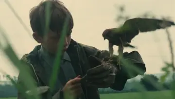 Zasłona do filmu "Kes" #211577
