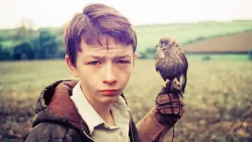 Zasłona do filmu "Kes" #211578