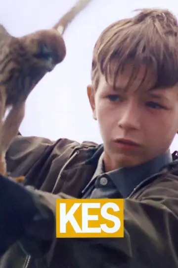 Plakat do filmu "Kes" #211584