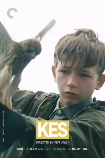 Plakat do filmu "Kes" #211587