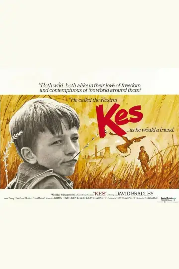 Plakat do filmu "Kes" #211588