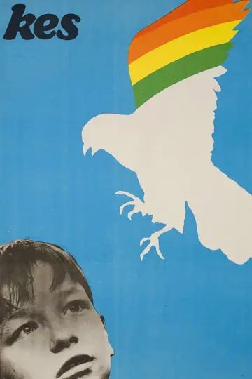 Plakat do filmu "Kes" #211592