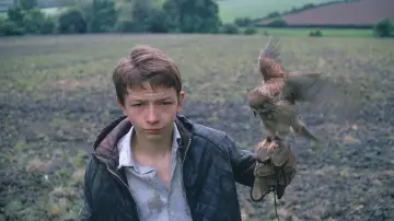 Zasłona do filmu "Kes" #986698