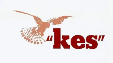 Zasłona do filmu "Kes" #986704