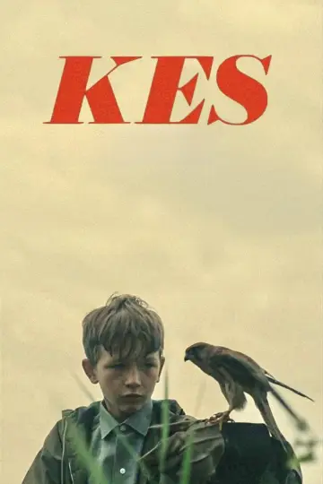 Plakat do filmu "Kes" #986708