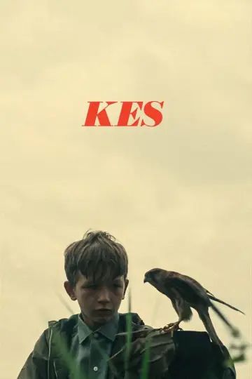 Plakat do filmu "Kes" #986710