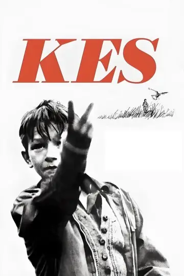 Plakat do filmu "Kes" #986712