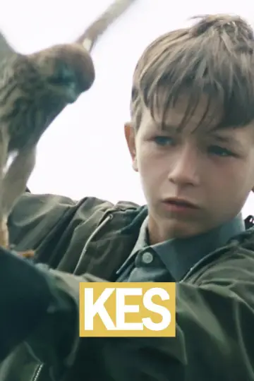 Plakat do filmu "Kes" #986716