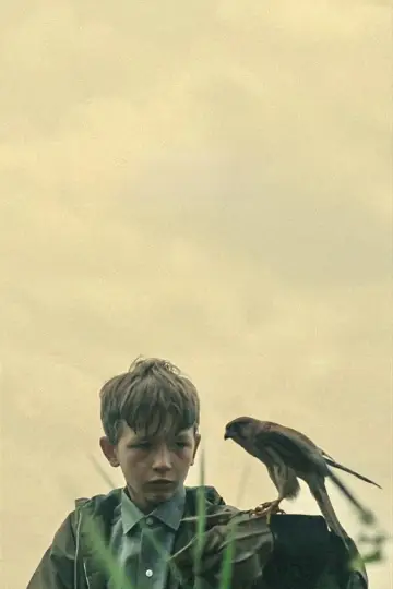 Plakat do filmu "Kes" #986717
