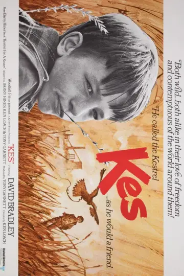 Plakat do filmu "Kes" #986718