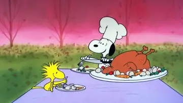 Zasłona do filmu "Dzień Dziękczynienia Charliego Browna" #379764
