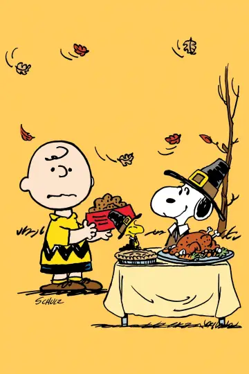 Plakat do filmu "Dzień Dziękczynienia Charliego Browna" #379775