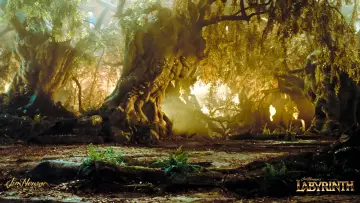 Zasłona do filmu "Labirynt" #121789