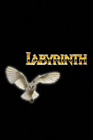 Plakat do filmu "Labirynt" #659172