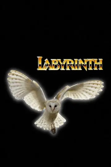 Plakat do filmu "Labirynt" #659173