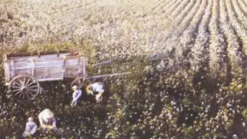 Zasłona do filmu "Miejsca w sercu" #402267