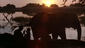 Zasłona do filmu "Zew wolności" #428287