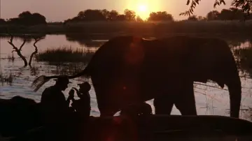 Zasłona do filmu "Zew wolności" #428288