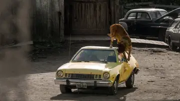 Zasłona do filmu "Cujo" #302934