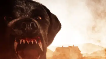 Zasłona do filmu "Cujo" #302936